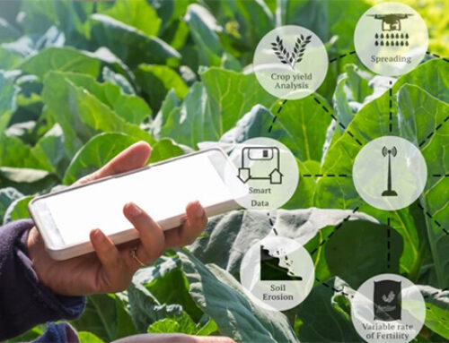 Digitalizzazione ed efficientamento delle imprese piemontesi