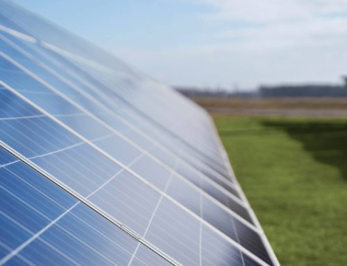 Efficienza energetica ed energia rinnovabile nelle imprese piemontesi