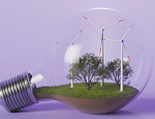 Bando Sostenibilità 2025