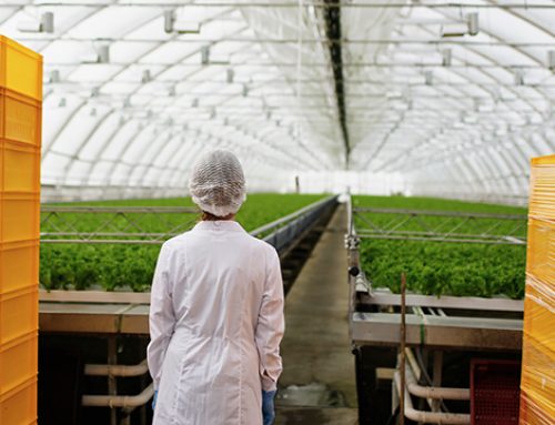 Progetti integrati di filiera (PIF) nel settore agroalimentare