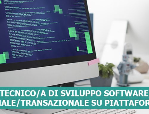 TECNICO/A di SVILUPPO SOFTWARE GESTIONALE/TRANSAZIONALE SU PIATTAFORMA WEB